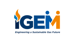 a logo of iGEM