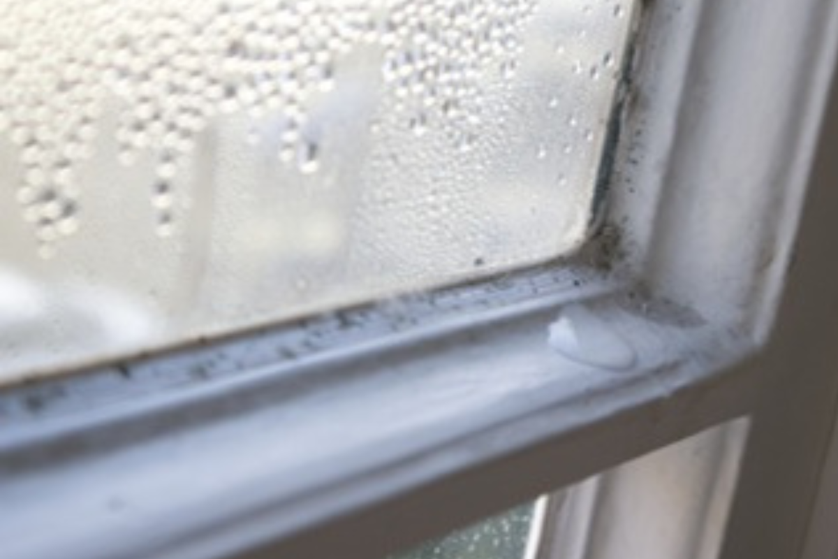 Mould and condensation on a window