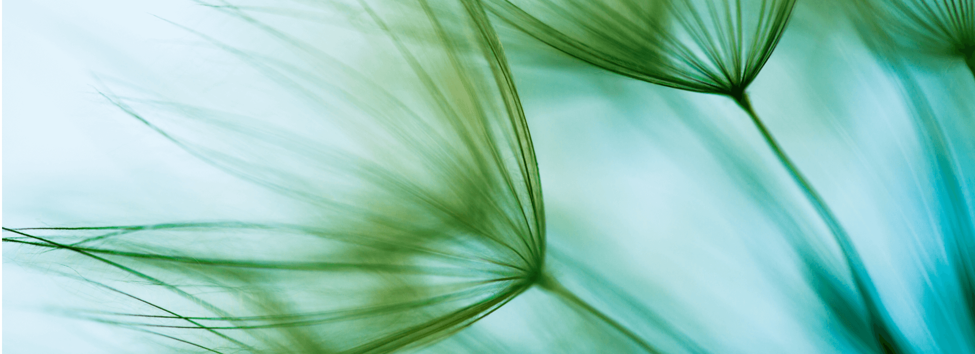 Greener img