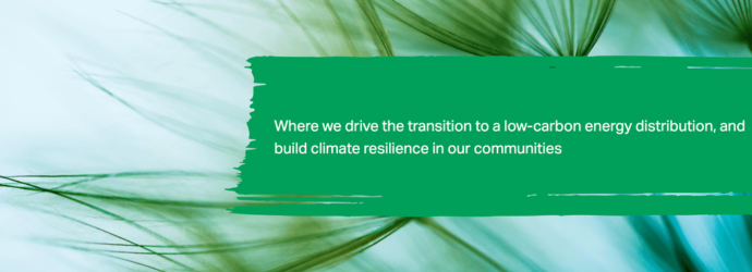 Abstract green plant-like shapes in the background. A green banner displays the text: ‘Where we drive the transition to a low-carbon energy distribution, and build climate resilience in our communities.