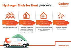 BEIS for Hydrogen Towns